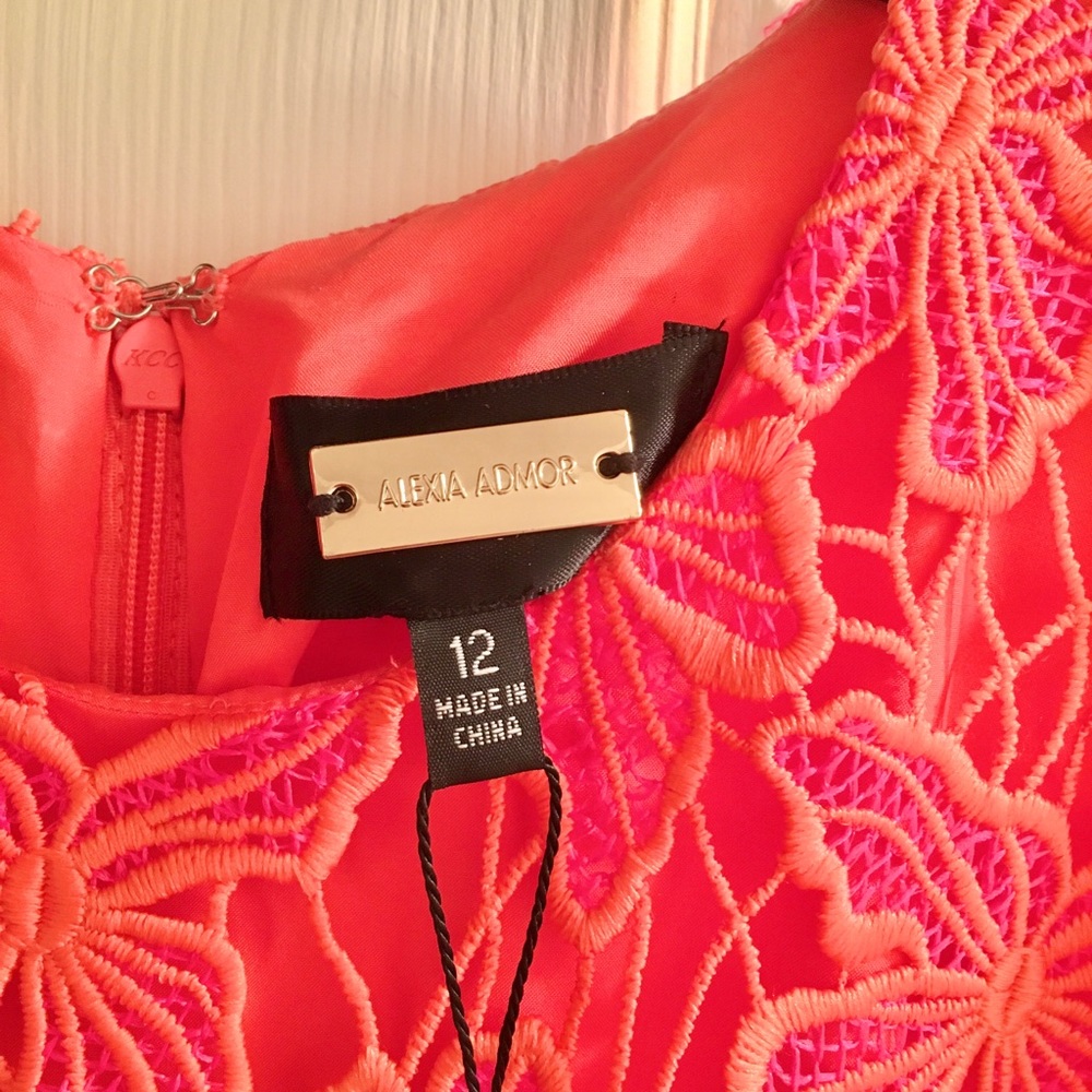 Alexia Admor Coral Reese Halter Lace Midi Sheath Dress - Picture 4 of 16